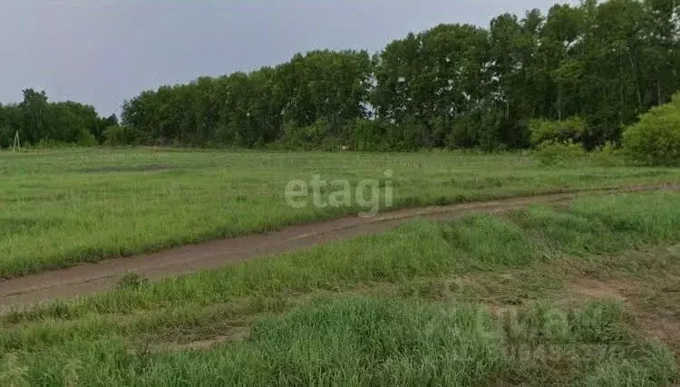 участок в новосибирская область, новосибирский район, морской . - Фото 0