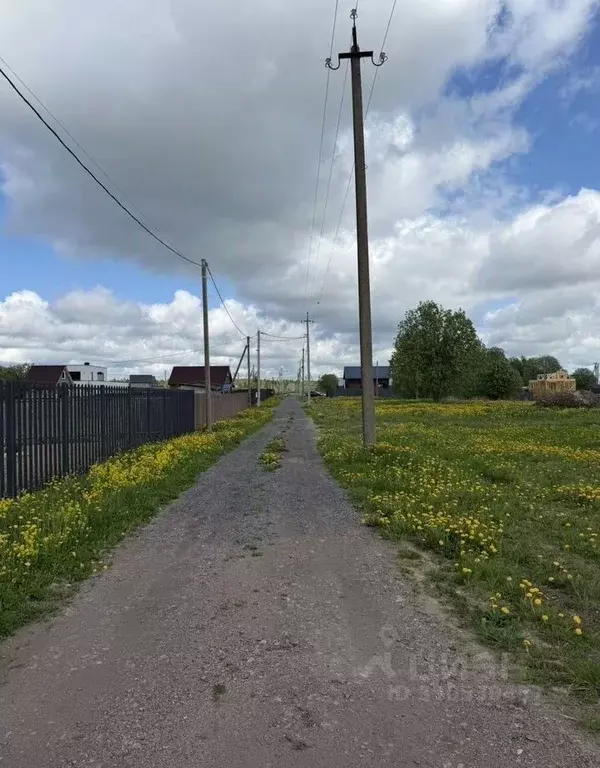 Участок в Ленинградская область, Ломоносовский район, Лопухинское ... - Фото 2