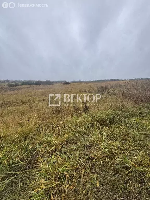 Участок в Костромская область, посёлок городского типа Судиславль (15 ... - Фото 2