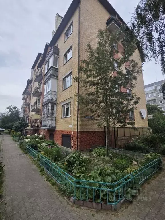 Помещение свободного назначения в Калининградская область, Гурьевск ... - Фото 1
