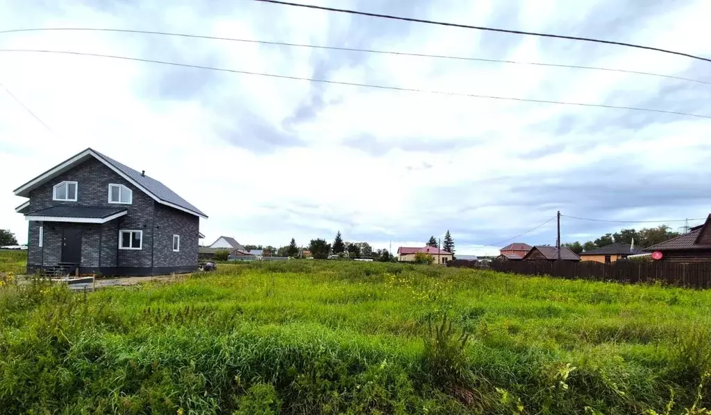 Участок в Омская область, Омский район муниципальный округ, с. Пушкино ... - Фото 2