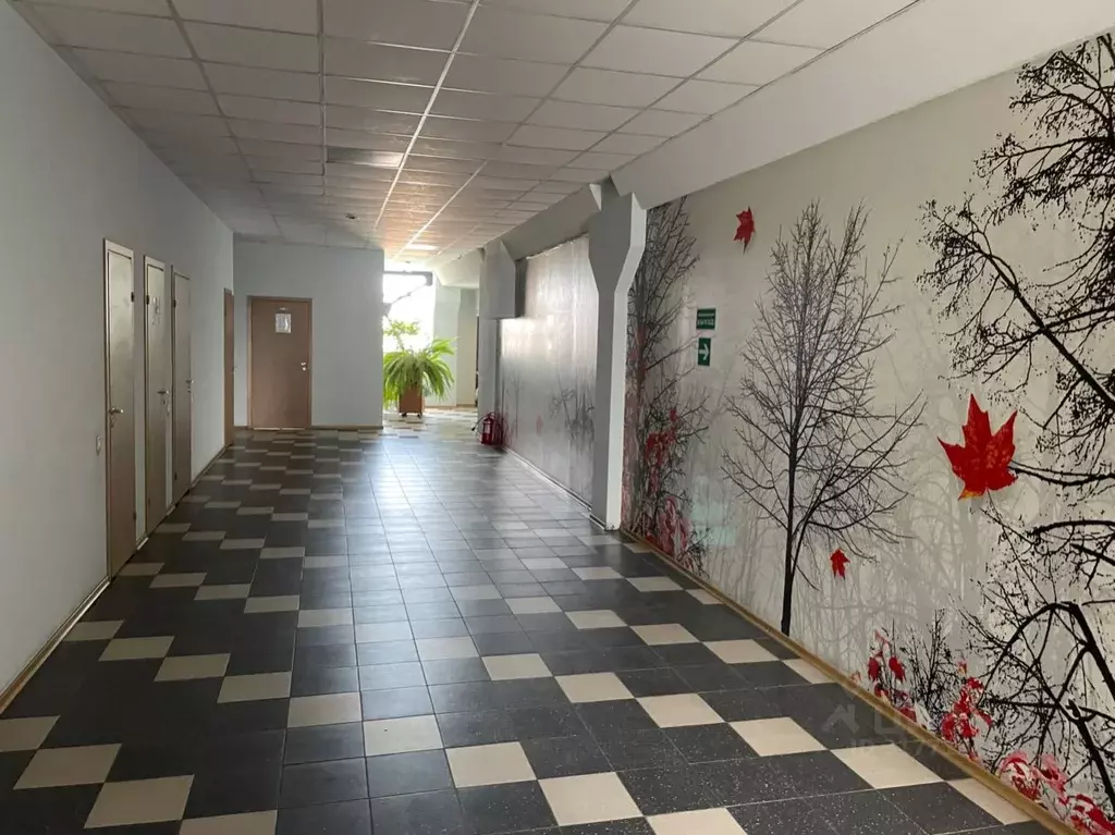 Офис в Нижегородская область, Нижний Новгород ул. Ломоносова, 9 (63 м) - Фото 1
