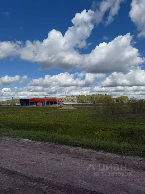 Участок в Марий Эл, Медведевский район, Руэмское с/пос, д. Нолька  ... - Фото 1
