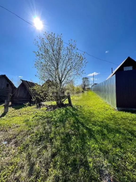 Участок в Пермский край, Очерский городской округ, д. Лужково ул. ... - Фото 1