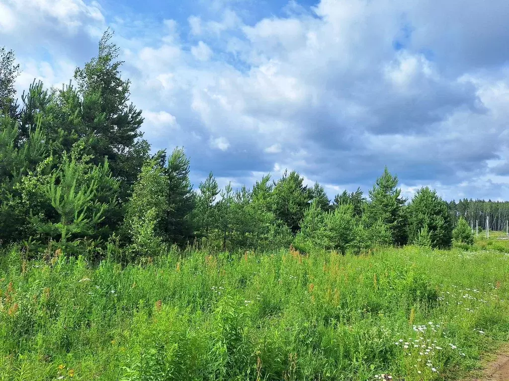 Участок в Московская область, Богородский городской округ, д. Боково, ... - Фото 2