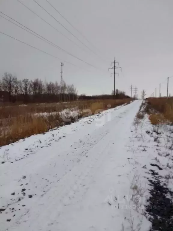Участок в Белгородская область, Новый Оскол ул. Виноградная, 15 (15.0 ... - Фото 0