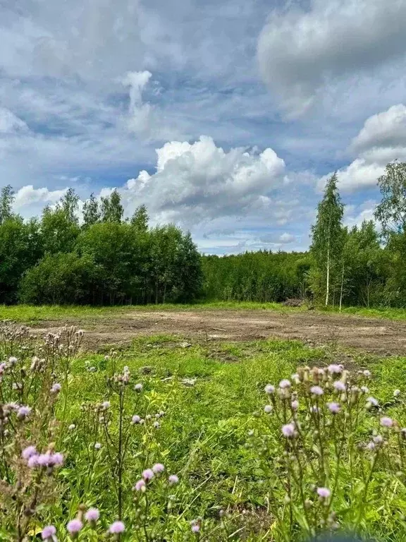 Участок в Санкт-Петербург, Санкт-Петербург, Петергоф Старый Петергоф ... - Фото 1