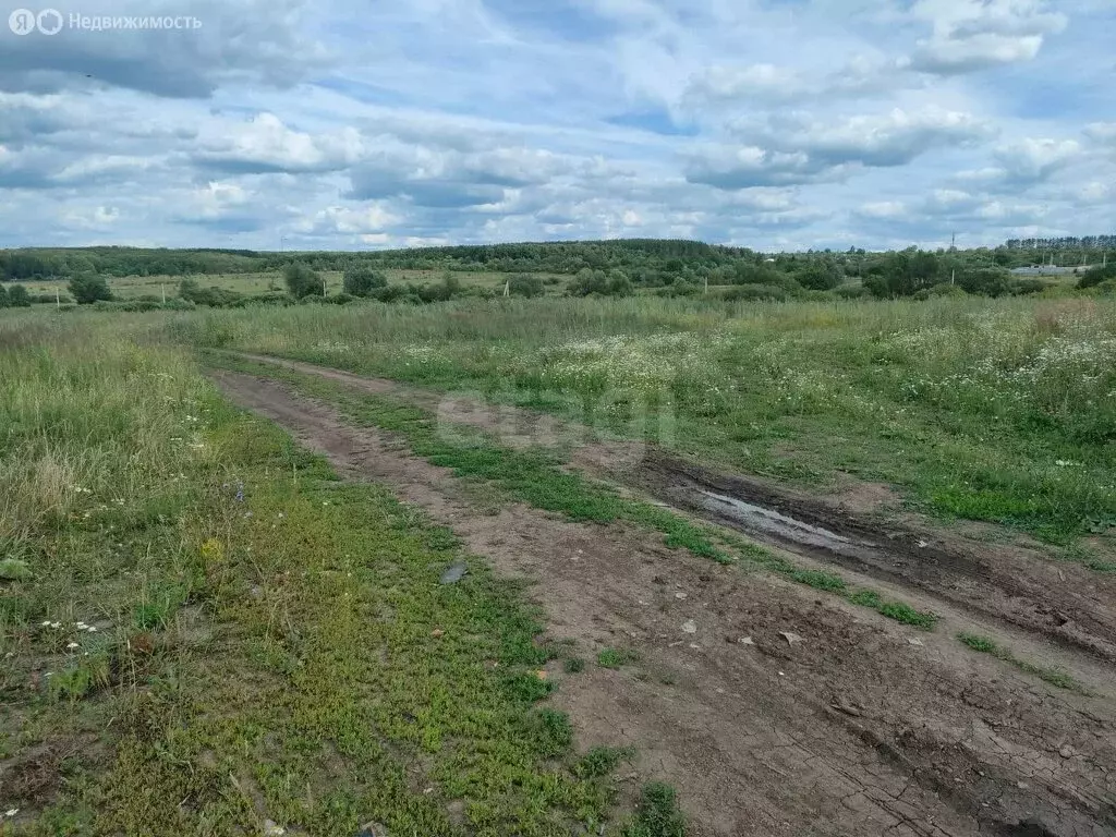 Участок в Лямбирский район, село Берсеневка (11.2 м) - Фото 1