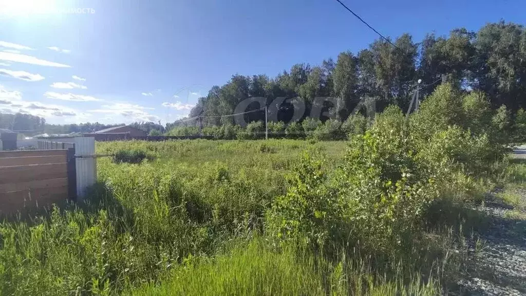 Участок в Тюменский район, деревня Молчанова (10 м) - Фото 1