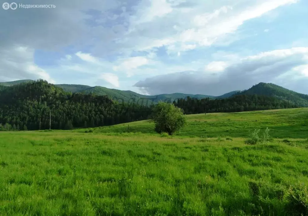 Дом в Горно-Алтайск, улица Ленина (120 м) - Фото 1