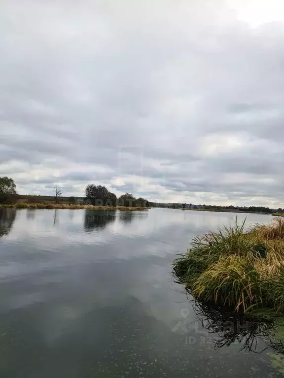 Участок в Тамбовская область, Тамбовский муниципальный округ, с. ... - Фото 2