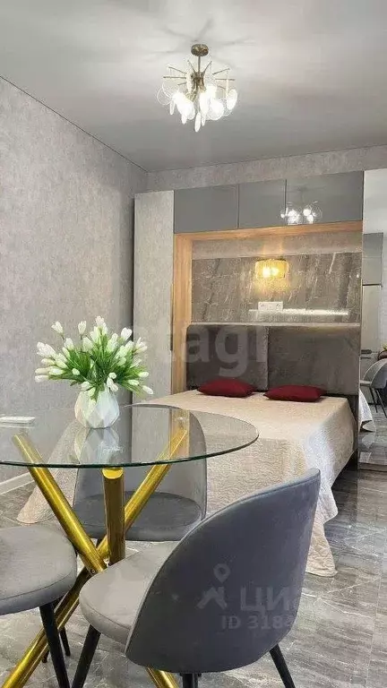 Студия Санкт-Петербург ул. Типанова, 22 (30.0 м) - Фото 0