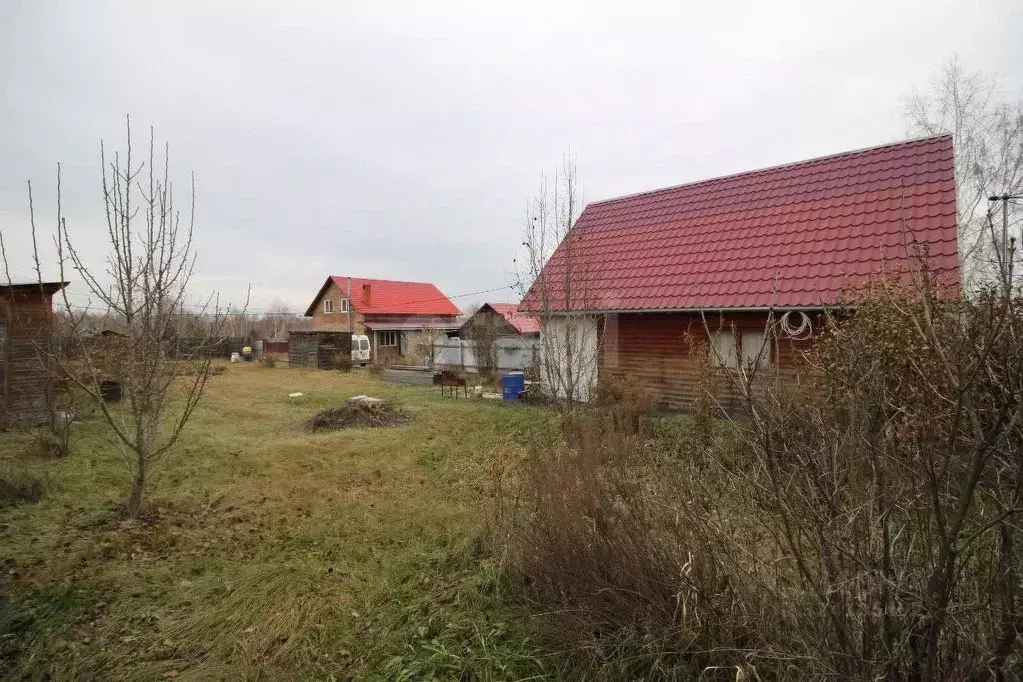 Дом в Красноярский край, Емельяново пгт ул. Мира (59 м) - Фото 2