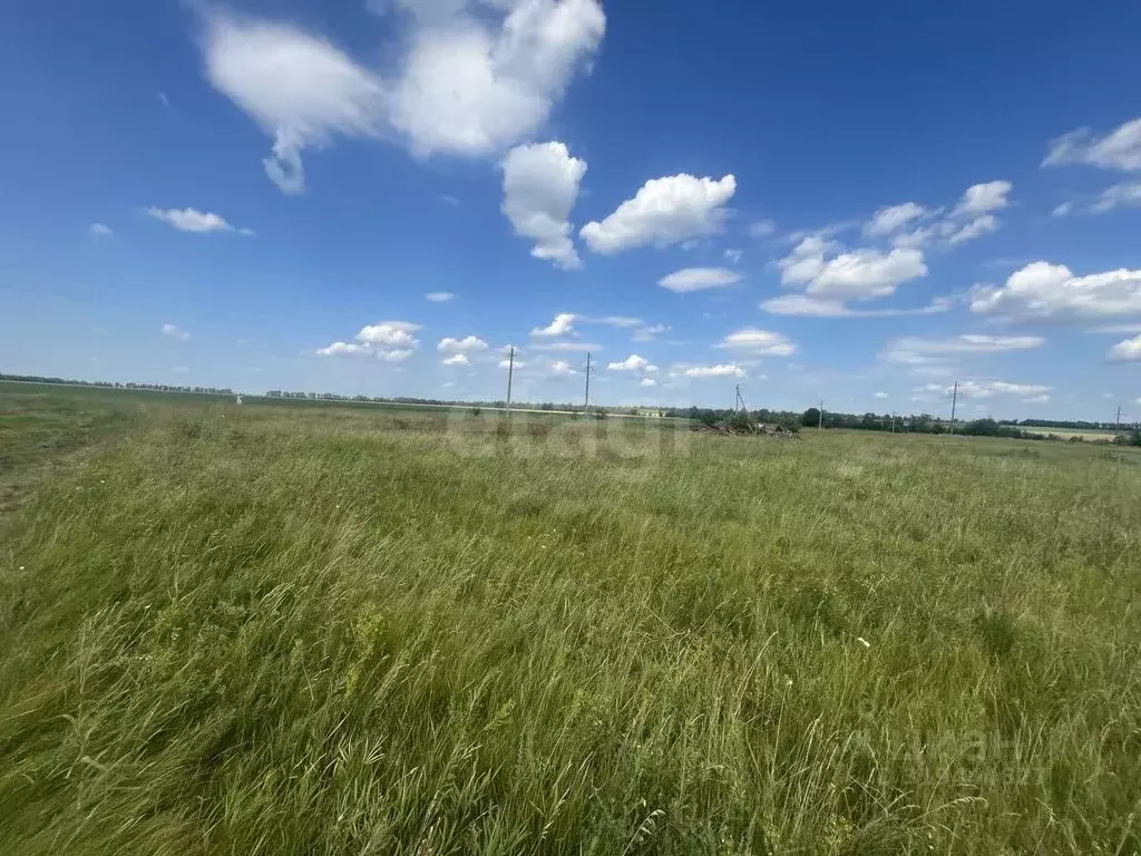 Участок в Воронежская область, Борисоглебский городской округ, с. ... - Фото 1
