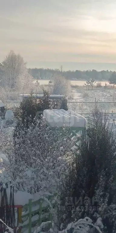 Дом в Ярославская область, Мышкинский муниципальный округ, д. ... - Фото 2