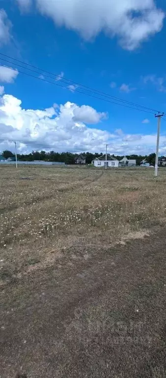 Участок в Саратовская область, с. Михайловка  (19.9 сот.) - Фото 2