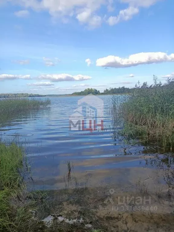 Участок в Тверская область, Осташковский муниципальный округ, д. ... - Фото 2