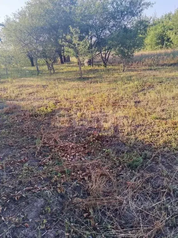 Дом в Белгородская область, Корочанский район, Мелиховское с/пос, ... - Фото 1