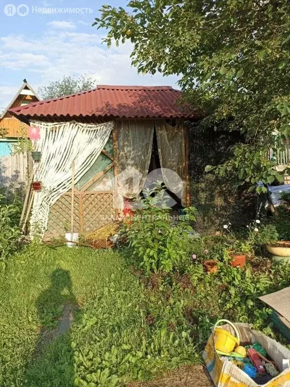 Участок в Новосибирск, СНТ Любитель (8.98 м) - Фото 2