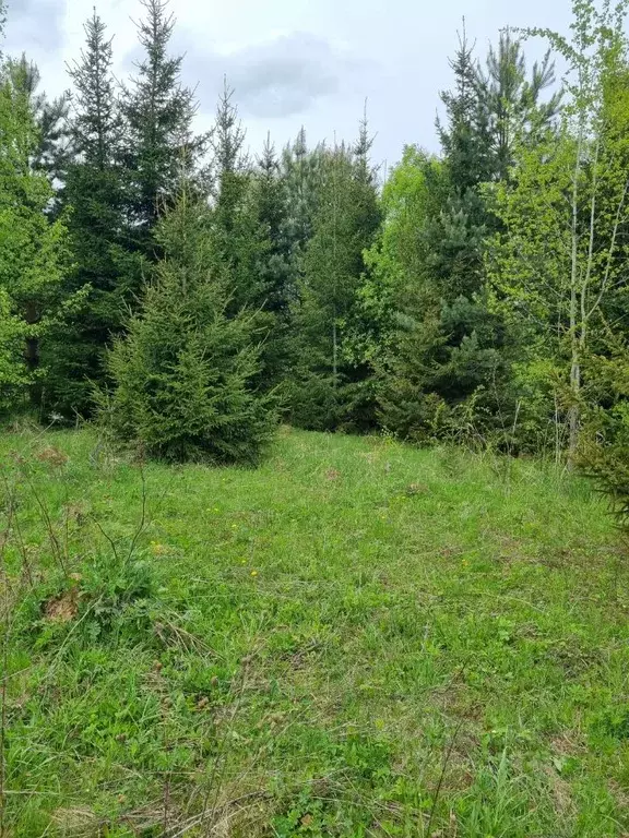 Участок в Калужская область, Малоярославецкий муниципальный округ, д. ... - Фото 1