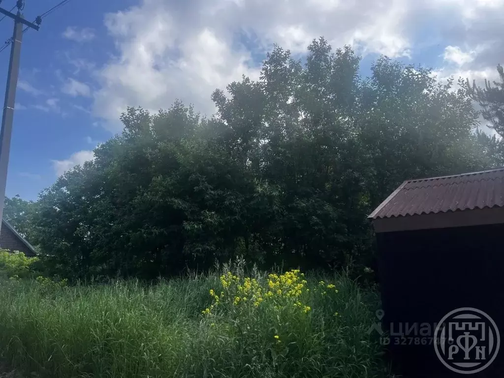 Участок в Ленинградская область, Ломоносовский район, Ропшинское ... - Фото 1