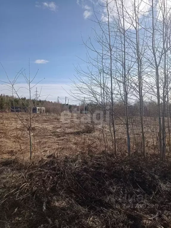 Участок в Свердловская область, Нижний Тагил с. Ольховка,  (11.6 сот.) - Фото 0