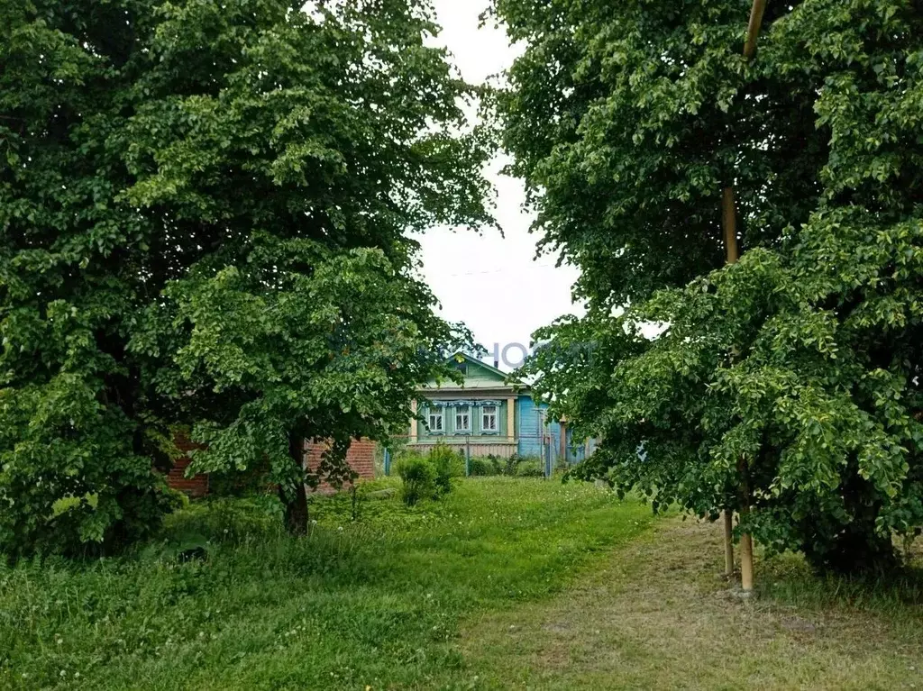 Дом в Нижегородская область, Богородский муниципальный округ, с. Лакша ... - Фото 0