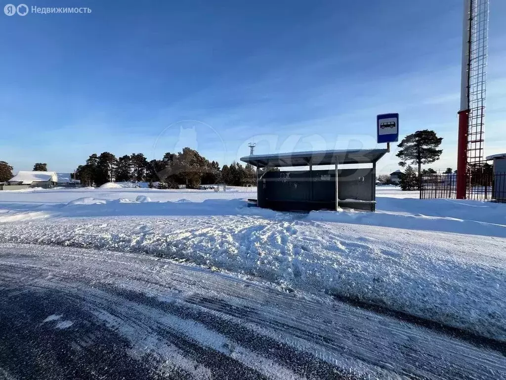 Участок в Тюменский муниципальный округ, деревня Криводанова (7.1 м) - Фото 1