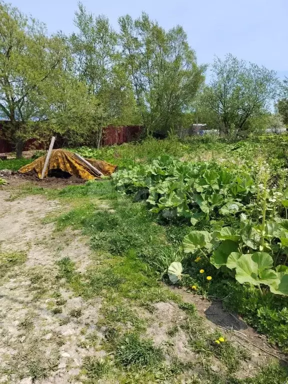 Участок в Сахалинская область, Южно-Сахалинск Дельфин СНТ, 21 (6.19 ... - Фото 1