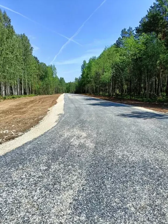 Участок в Свердловская область, Полевской городской округ, с. ... - Фото 1