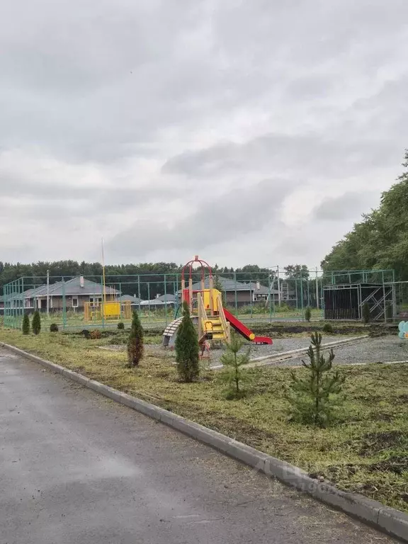 Участок в Омская область, Омский район, с. Пушкино ул. Александра ... - Фото 2