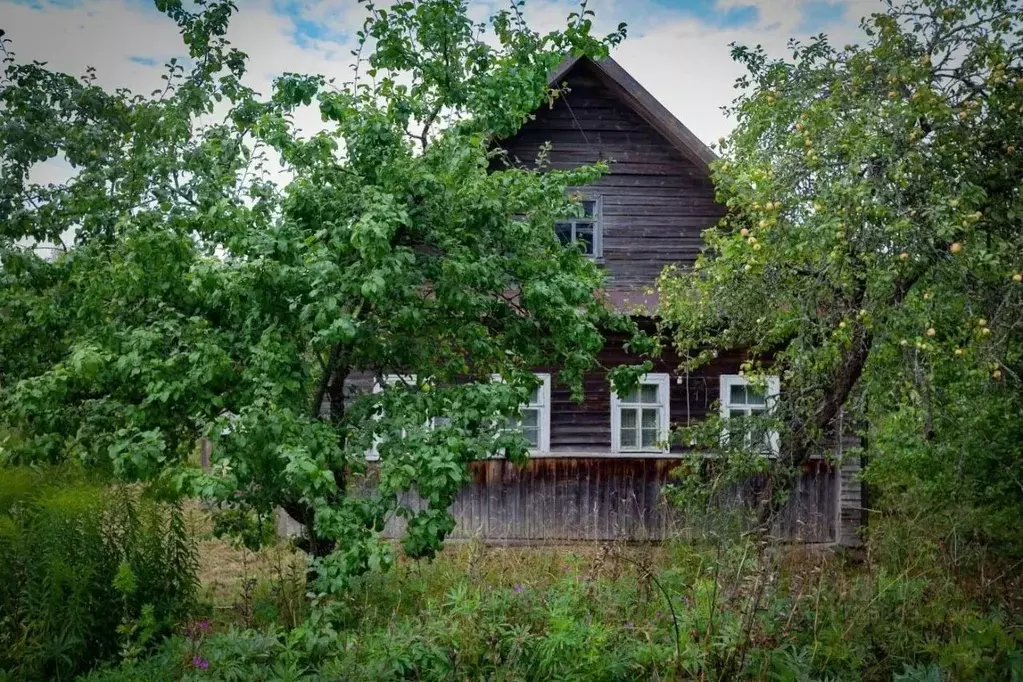 Дом в Новгородская область, Маловишерский муниципальный округ, ... - Фото 2