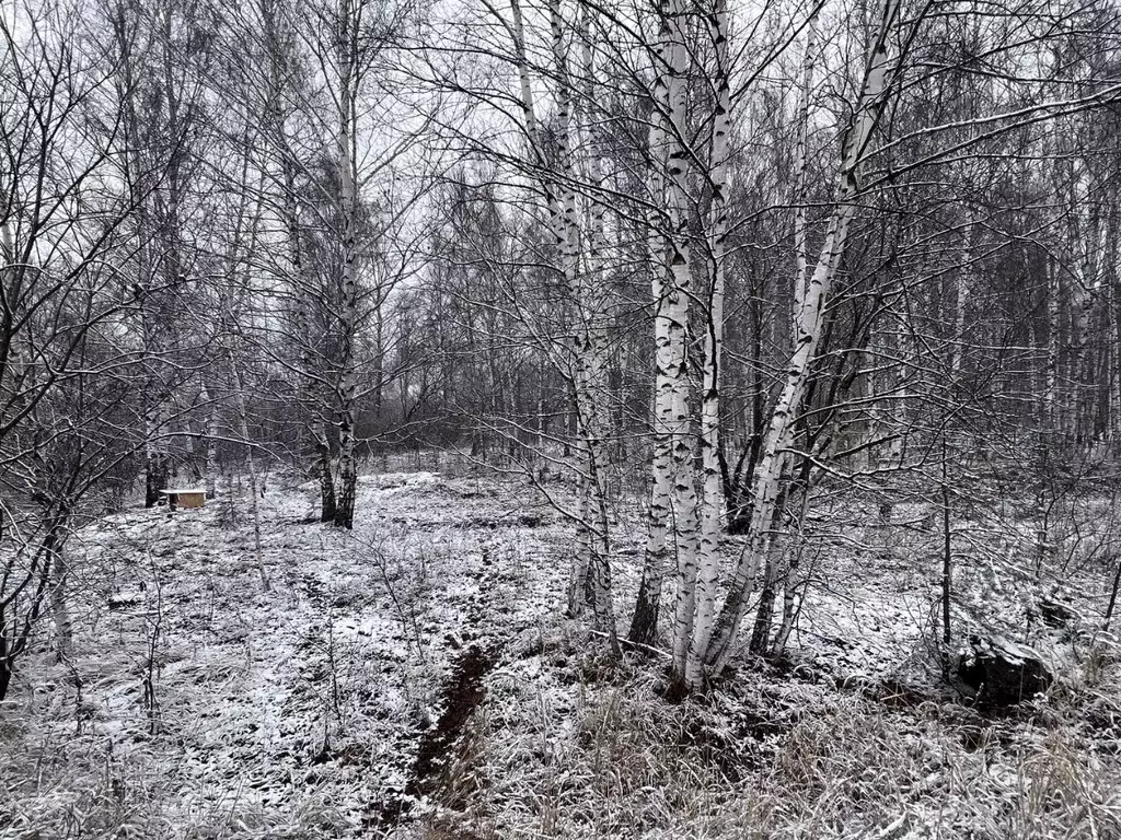 Участок в Рязанская область, Шиловский район, Желудевское с/пос, д. ... - Фото 2