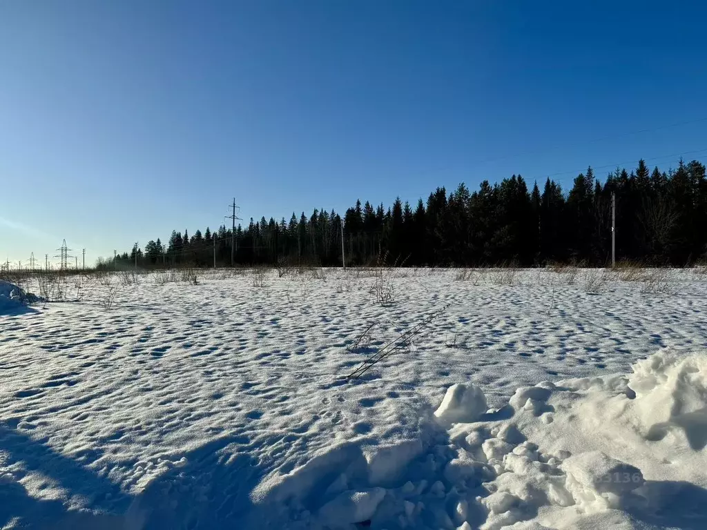 Участок в Пермский край, пос. Протасы ул. Луговая (19.0 сот.) - Фото 0