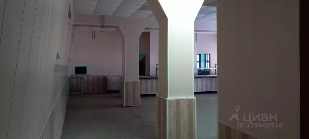 Помещение свободного назначения в Новосибирская область, Новосибирск ... - Фото 2