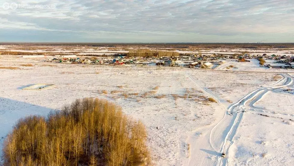 Участок в Червишевское муниципальное образование (8 м) - Фото 1