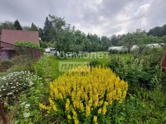 Участок в Москва Строитель СНТ, 48 (6.0 сот.) - Фото 0
