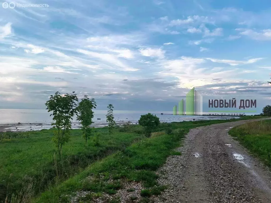Участок в Новгородская область, Старорусский муниципальный округ, ... - Фото 2