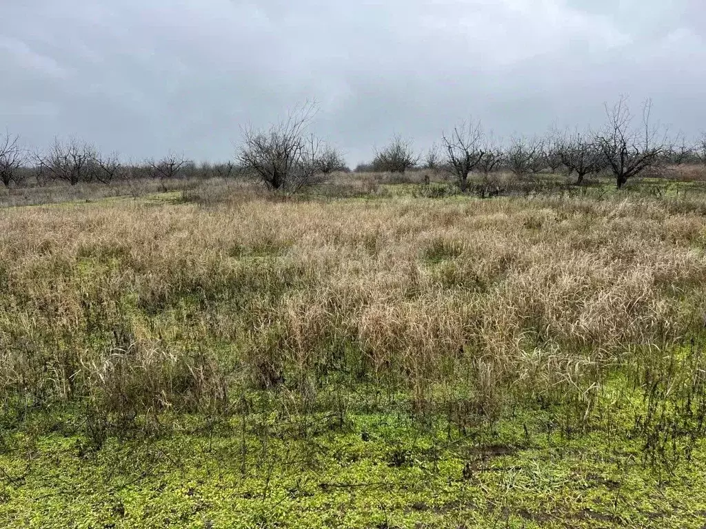 Участок в Ростовская область, Азов Азовский район, ул. Победы (6.0 ... - Фото 1