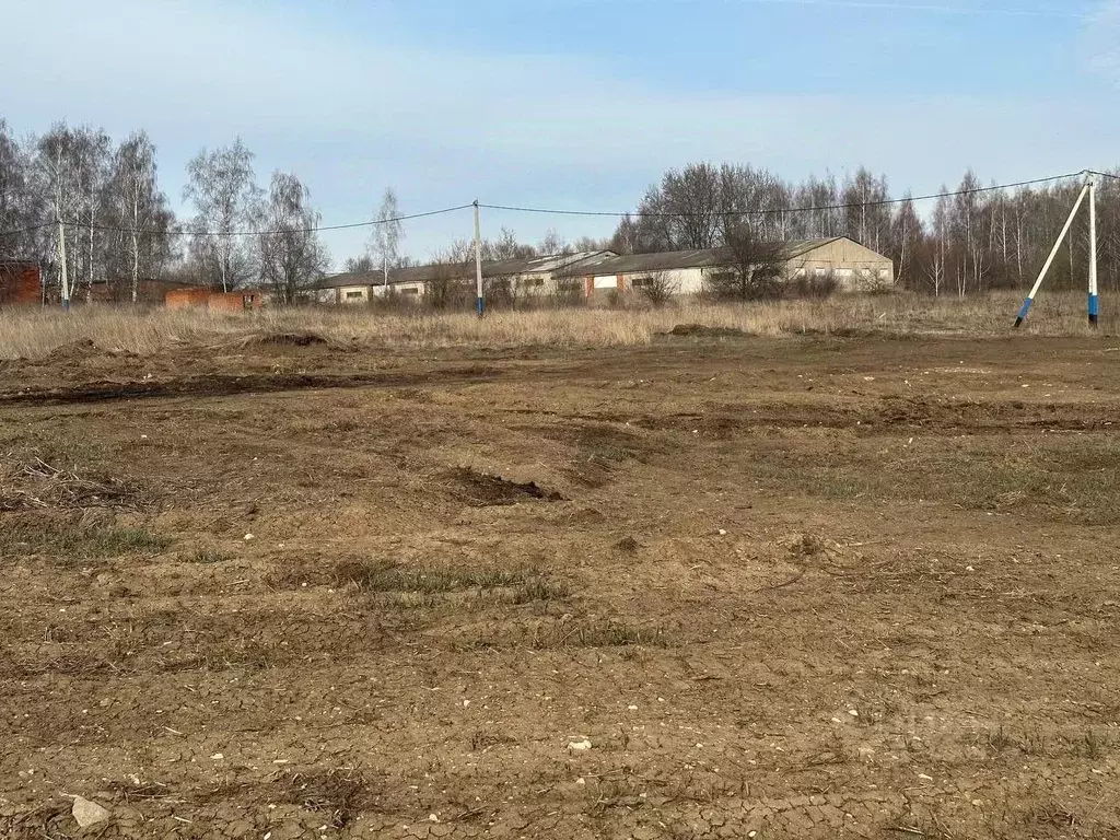 Участок в Московская область, Серебряные Пруды пгт ул. Свободная ... - Фото 0