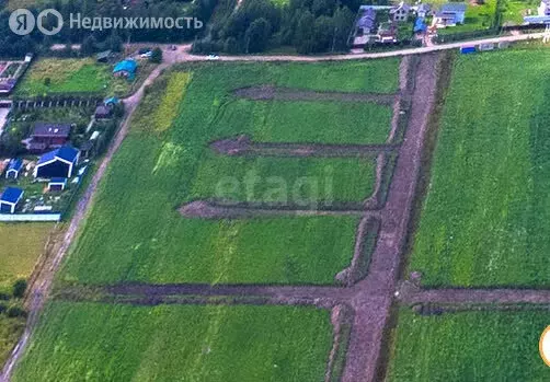 Участок в Приозерский район, Красноозёрное сельское поселение, деревня ... - Фото 1