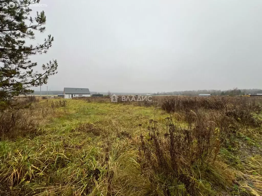 Участок в Владимирская область, Судогодский муниципальный округ, село ... - Фото 1