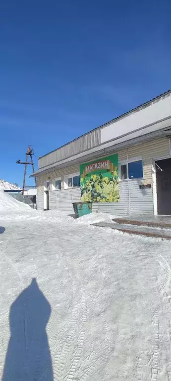 Помещение свободного назначения в Новосибирская область, Сузун рп ул. ... - Фото 1