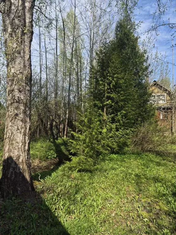 Дом в Тверская область, Калининский муниципальный округ, Березка ... - Фото 2