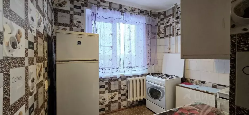 1-к кв. Волгоградская область, Волгоград ул. Репина, 66 (25.9 м) - Фото 2