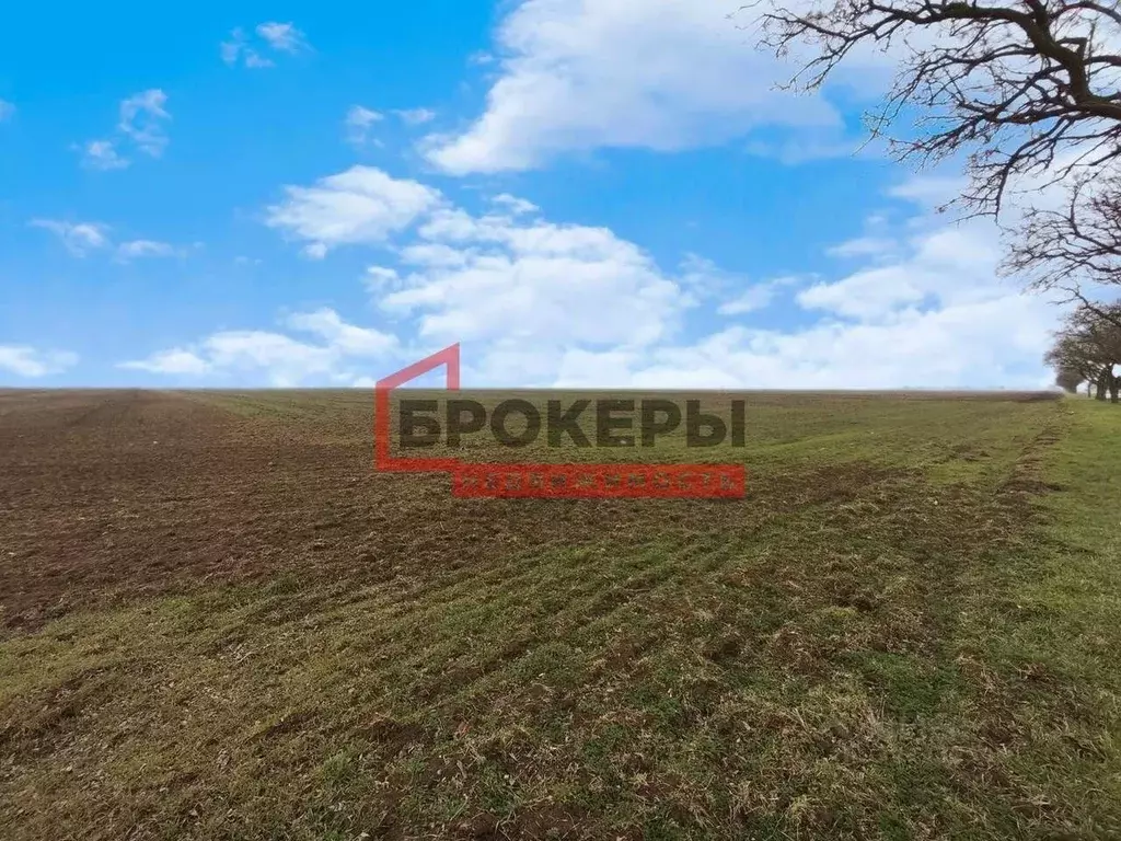 Участок в Крым, Сакский район, с. Молочное ул. Пионерская (580.0 сот.) - Фото 1