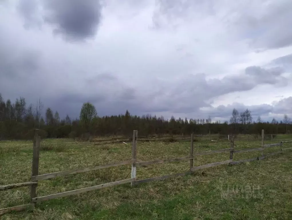 Участок в Новгородская область, Крестцы рп  (10.0 сот.) - Фото 2