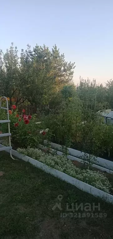 Дом в Саратовская область, Саратов ул. 8-я Мичуринская (64 м) - Фото 0