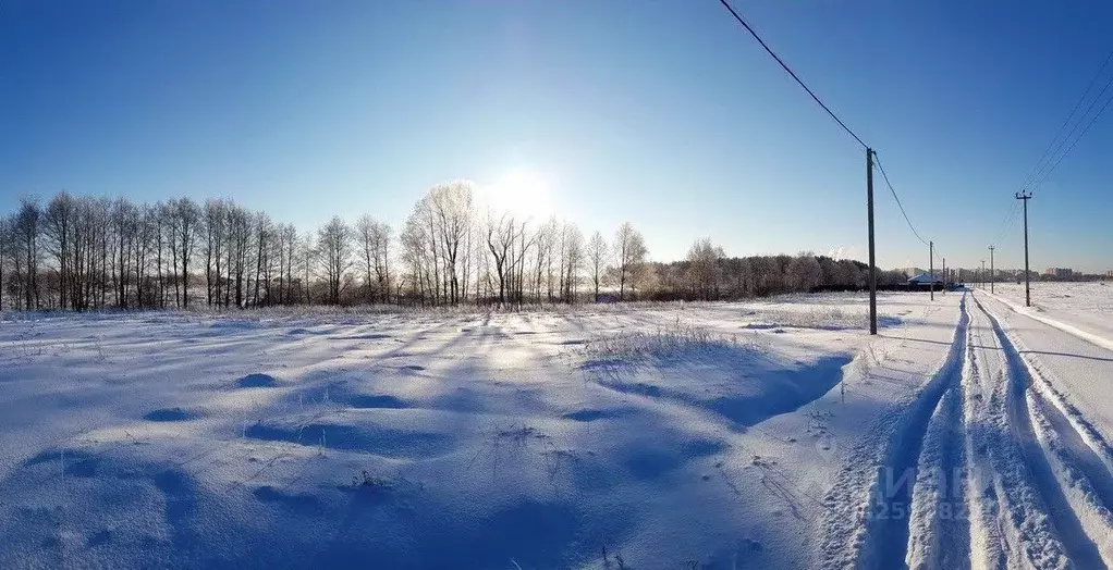 Участок в Московская область, Раменское ул. Осенняя (15.81 сот.) - Фото 2