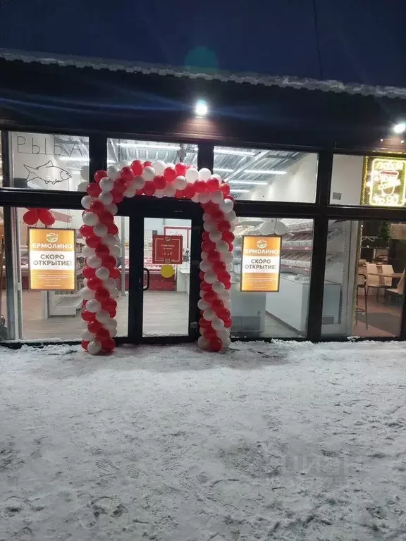 Помещение свободного назначения в Санкт-Петербург ул. Пионерстроя, 8 ... - Фото 2